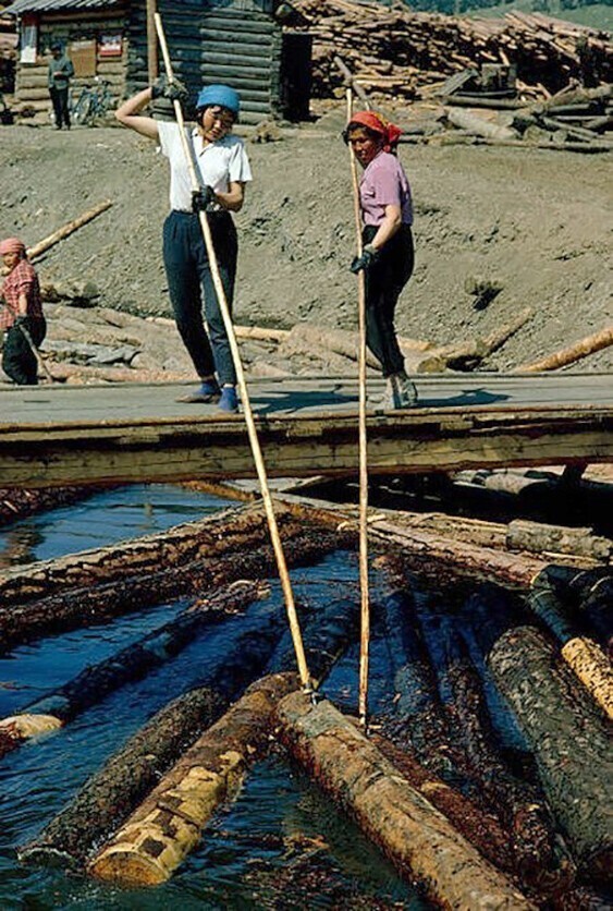 Женщины сортируют брёвна в каналах на лесоповале, озеро Байкал.