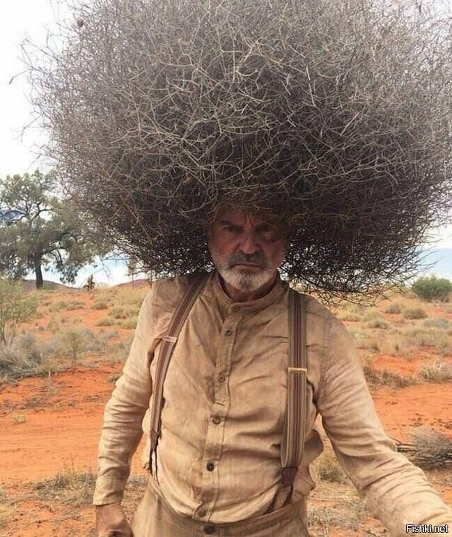 ДобрУтр, Соляне