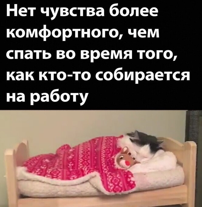 Смешные и познавательные картинки