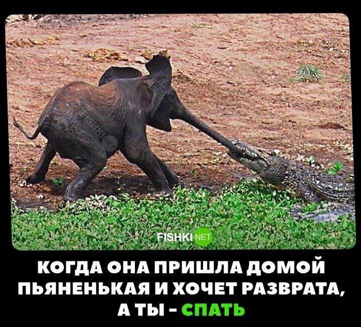 Когда она хочет разврата, а ты спать