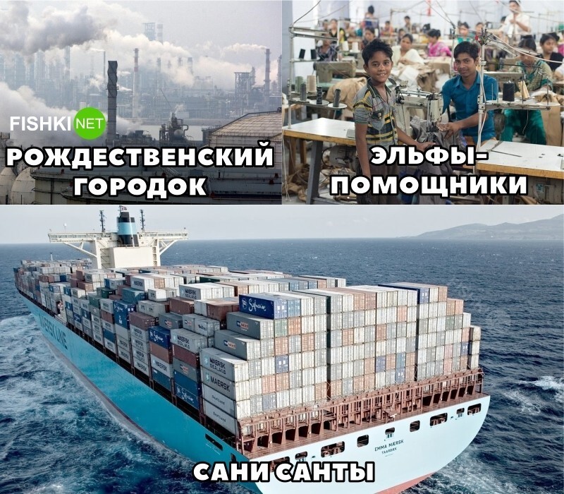 Суровая реальность 