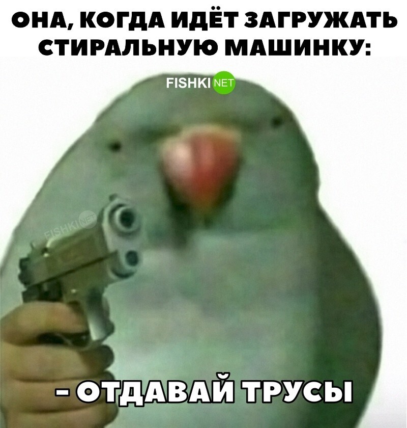 И так каждый раз