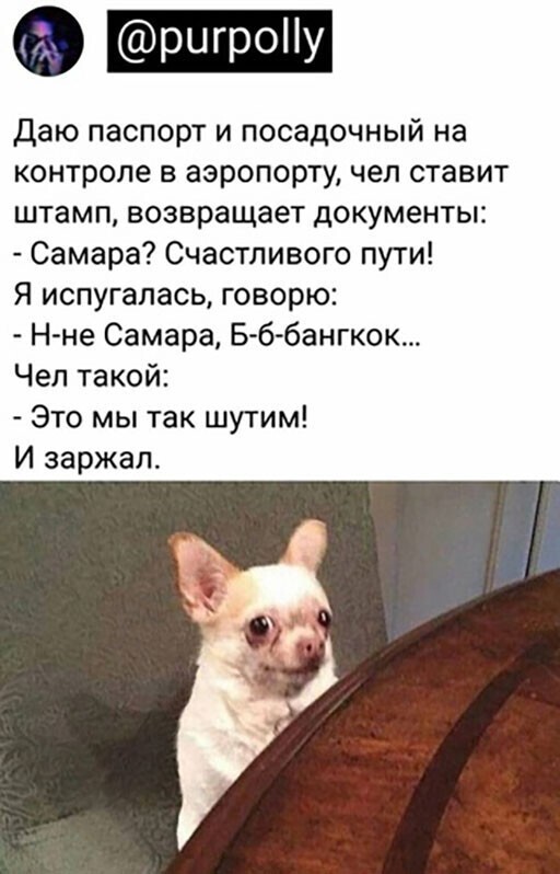 Смешные и познавательные картинки