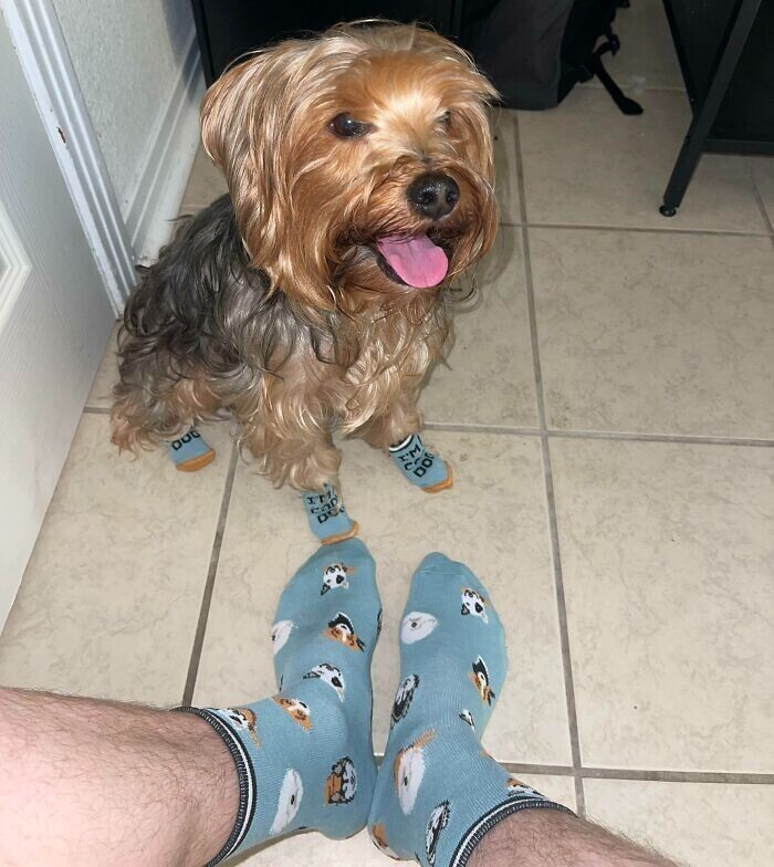 "Мы с собакой получили одинаковые носки на Рождество"