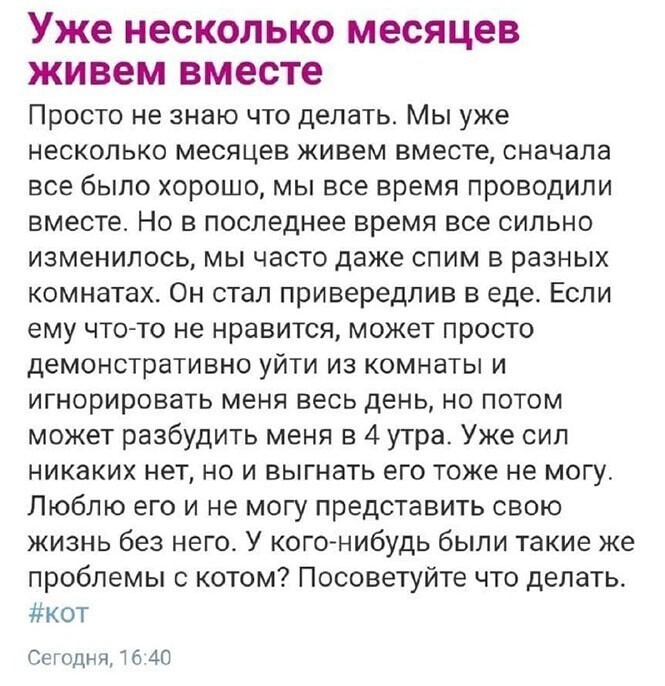 Смешные и познавательные картинки