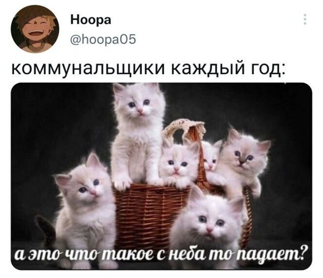 Смешные и познавательные картинки