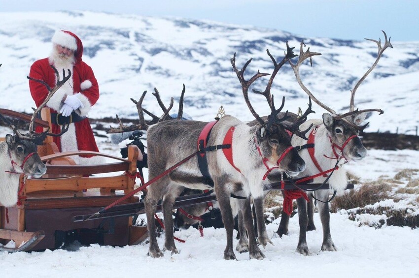 Почему наш Дед Мороз мчится на тройке, а их Санта использует оленью упряжку?