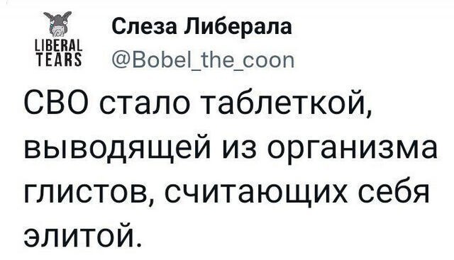 О политике и не только