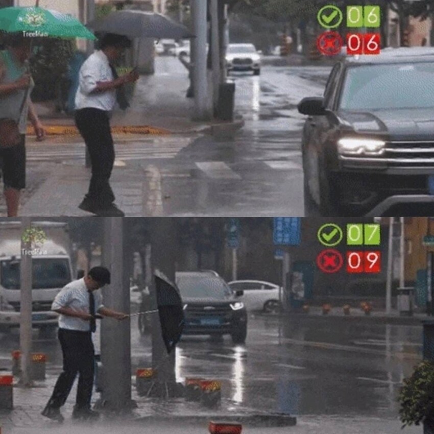 Эксперимент из Кореи: что будет, если показать водителю кирпич