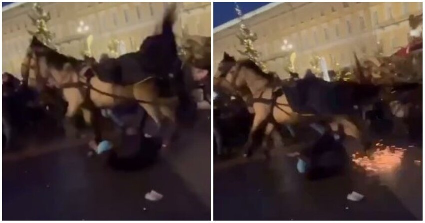 Испуганные пьяным прохожим кони травмировали детей на Дворцовой площади в Петербурге