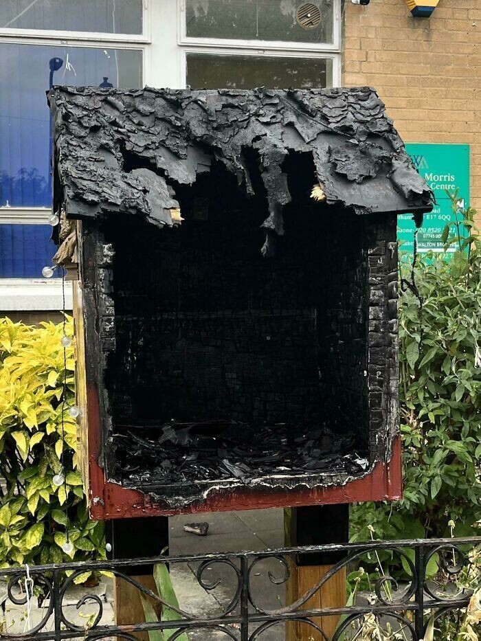 Кто-то сжёг мини-библиотеку, которую организовали соседи