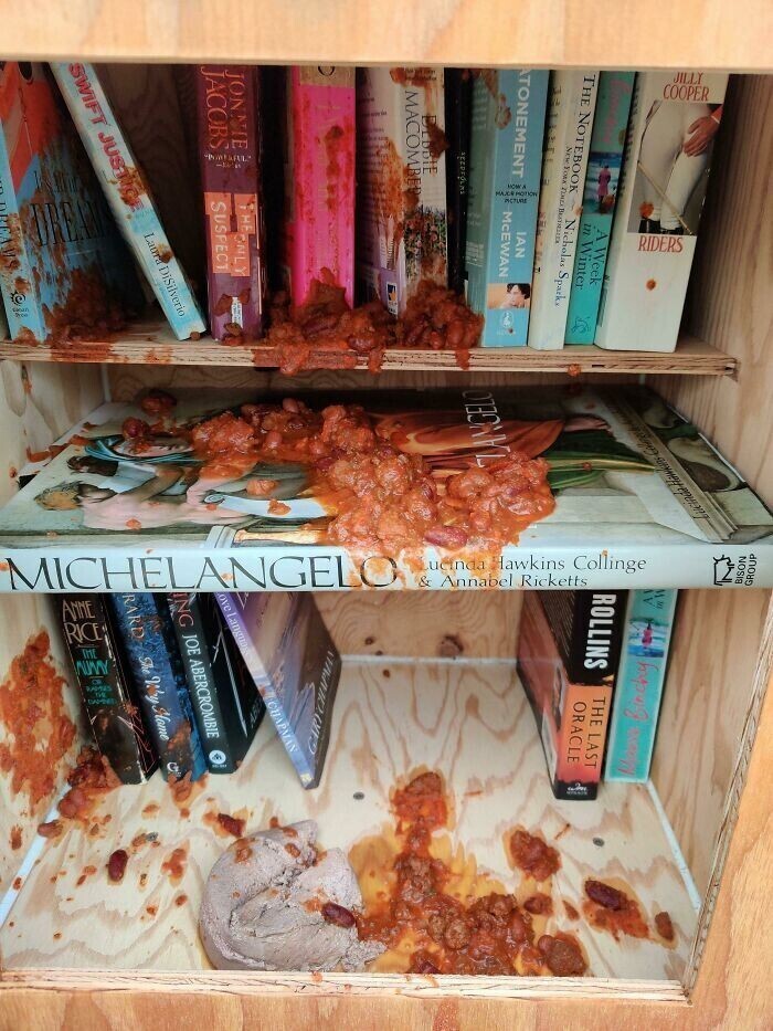 "Наша соседка сделала мини-библиотеку на районе. Кто-то уже загадил её, вылив туда соус и кошачий корм. Зачем?!"