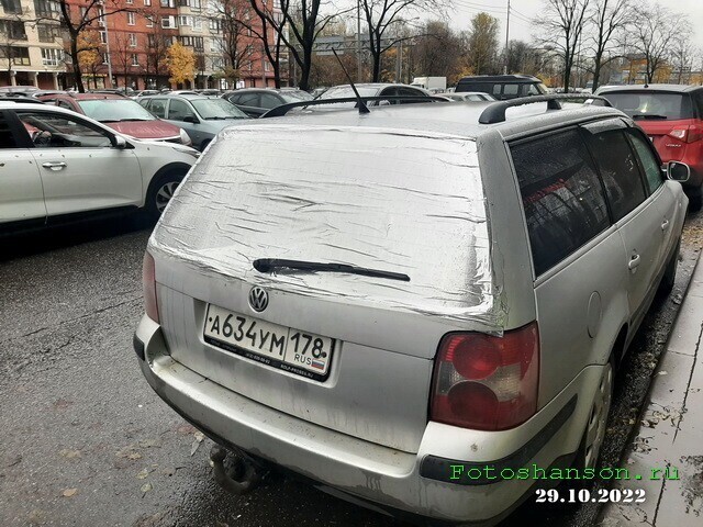 Автовсячина