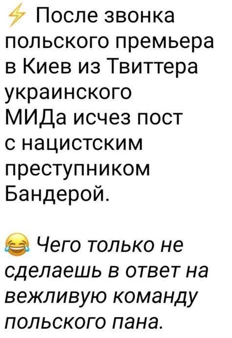 О политике и не только