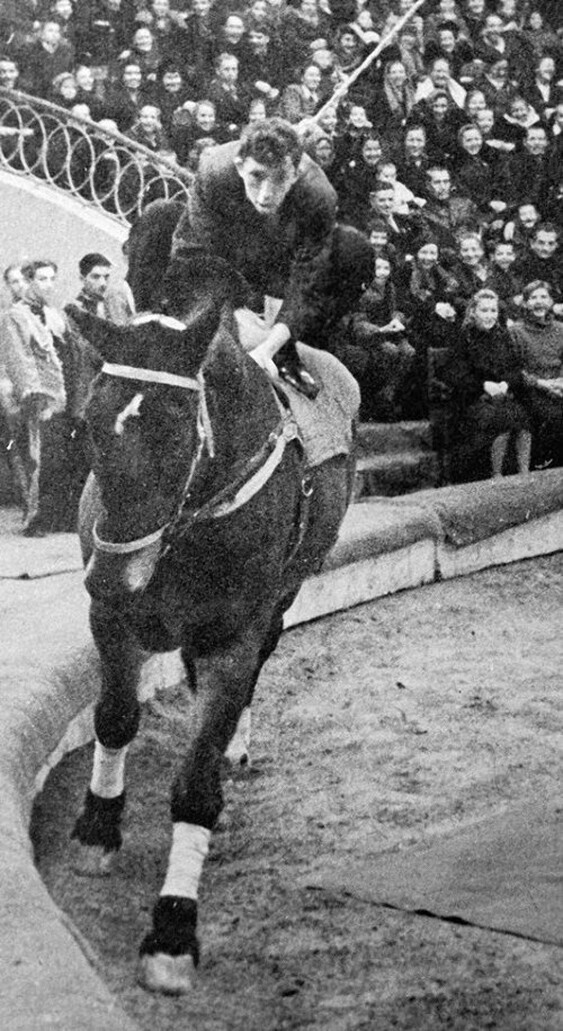 Юрий Никулин на одном из первых выступлений в цирке изображает «человека из зала», впервые севшего на лошадь. 1947 год