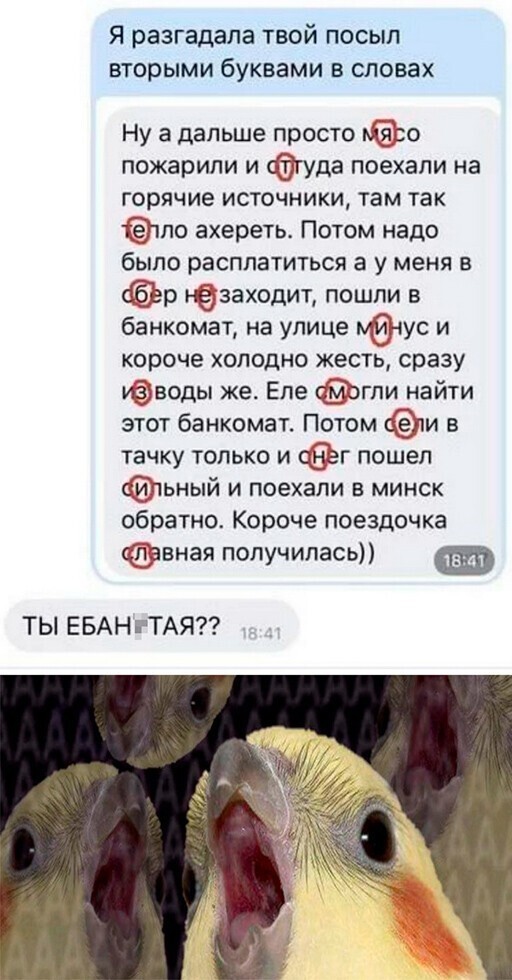 Смешные и познавательные картинки