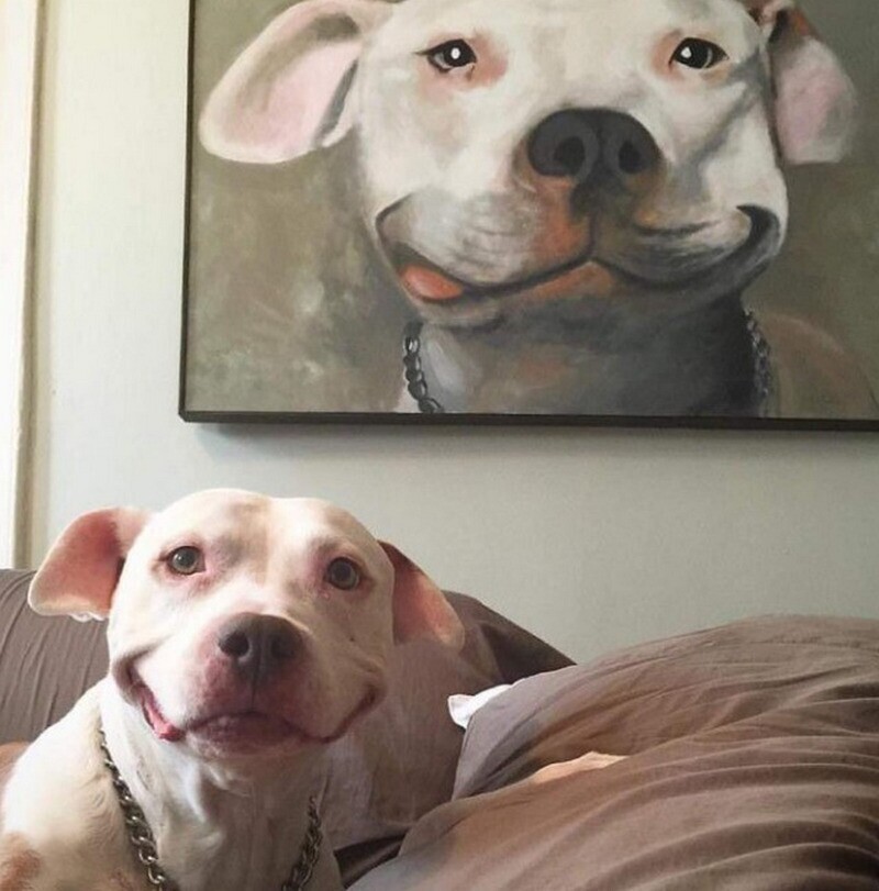 Собака, которая умеет улыбаться