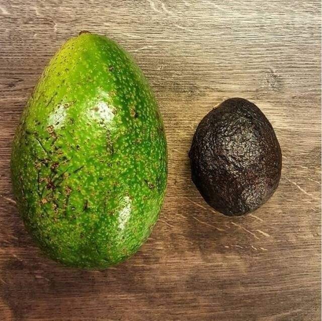 Венесуэльский авокадо и немецкий авокадо