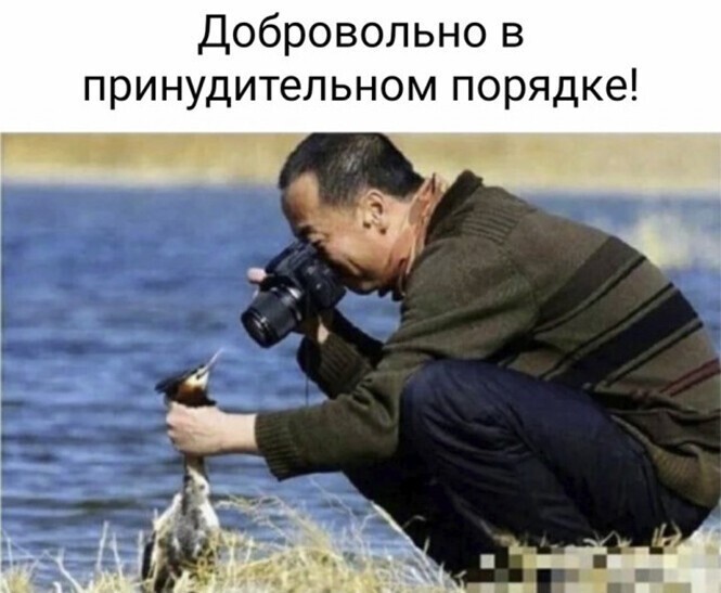 Фотоприколы и прикольные картинки