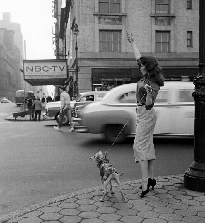 Дама с собачкой ловит такси, Нью-Йорк, 1956 год