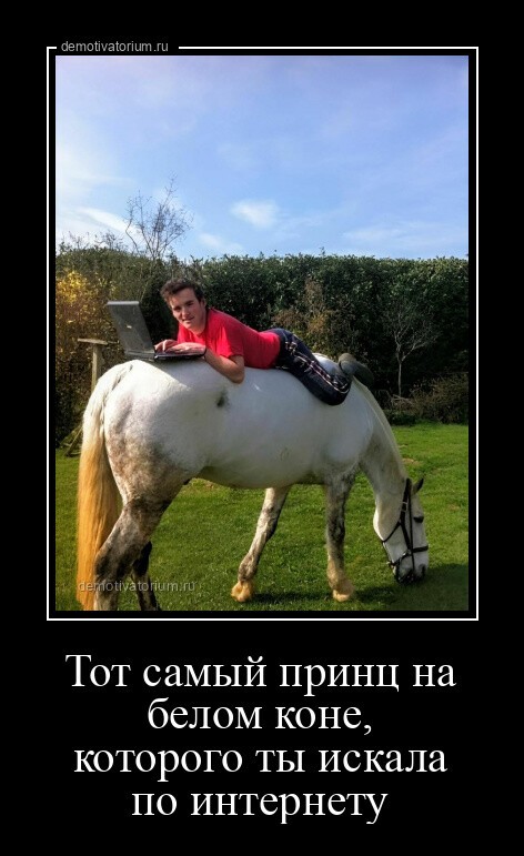 Тот самый принц на белом коне, которого ты искала по интернету