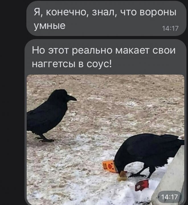 Скрины из соцсетей