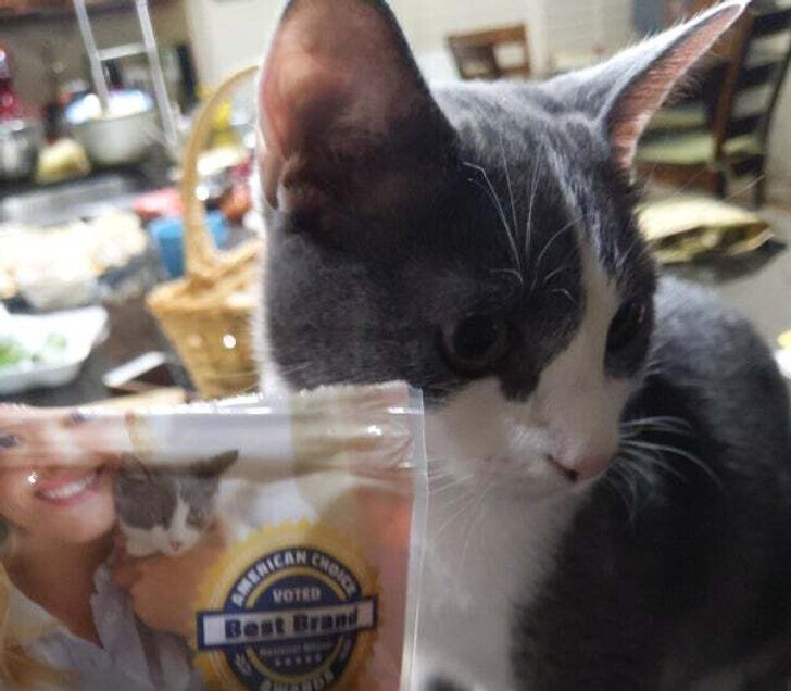 14. "Кот на пакете с кошачьей едой выглядит как близнец моего кота"