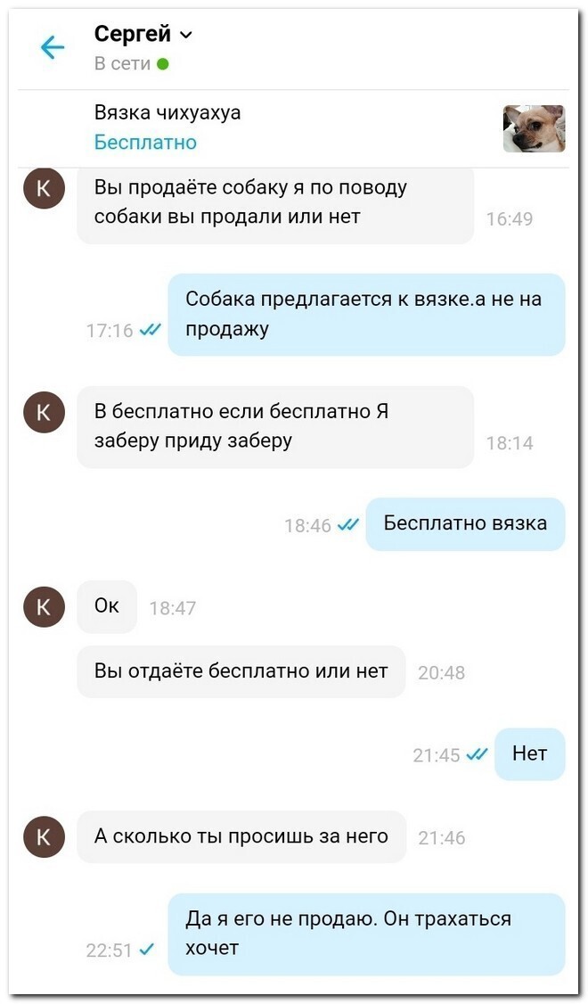 Скрины из соцсетей