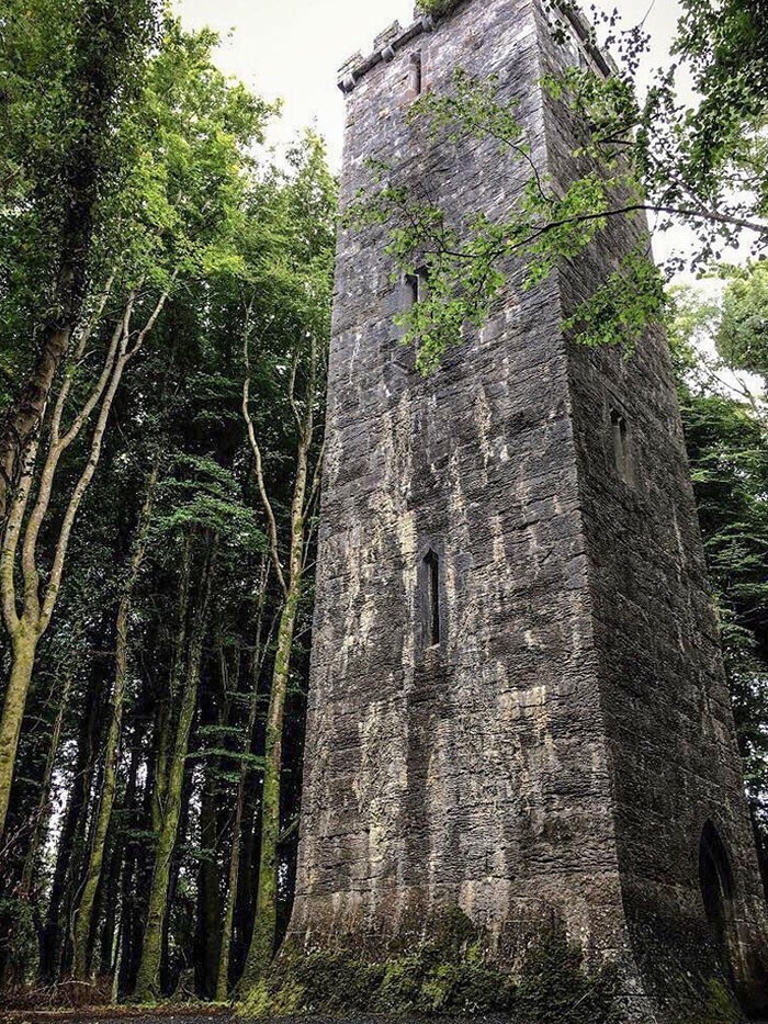 11. "Эта башня, которую мы нашли в ирландском лесу, выглядит как башня из сказки"