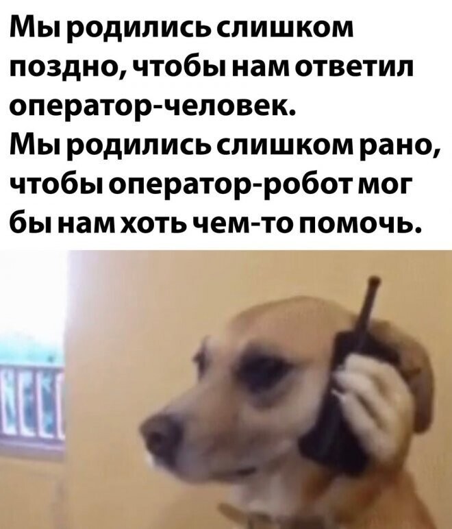 Юмор из интернета