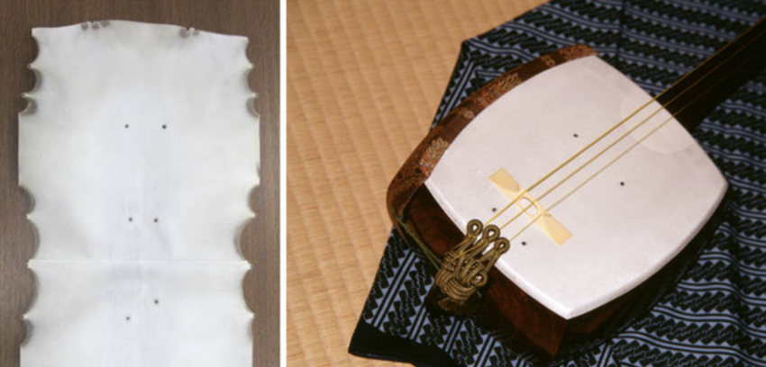 1. Традиционнчый японский музыкальный инструмент, сделанный из кошачьей кожи (и сосков)