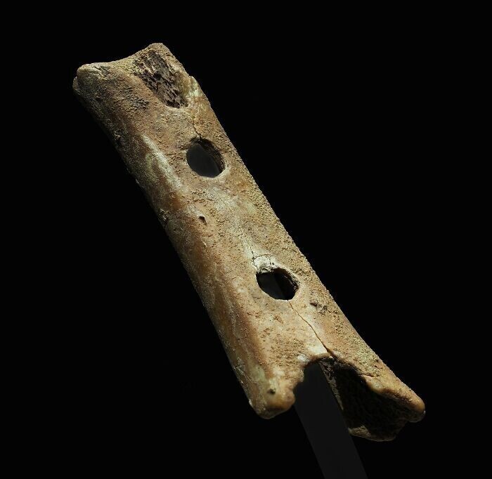 14. Флейта из Дивье Бабе (50 000 г. до н.э.)