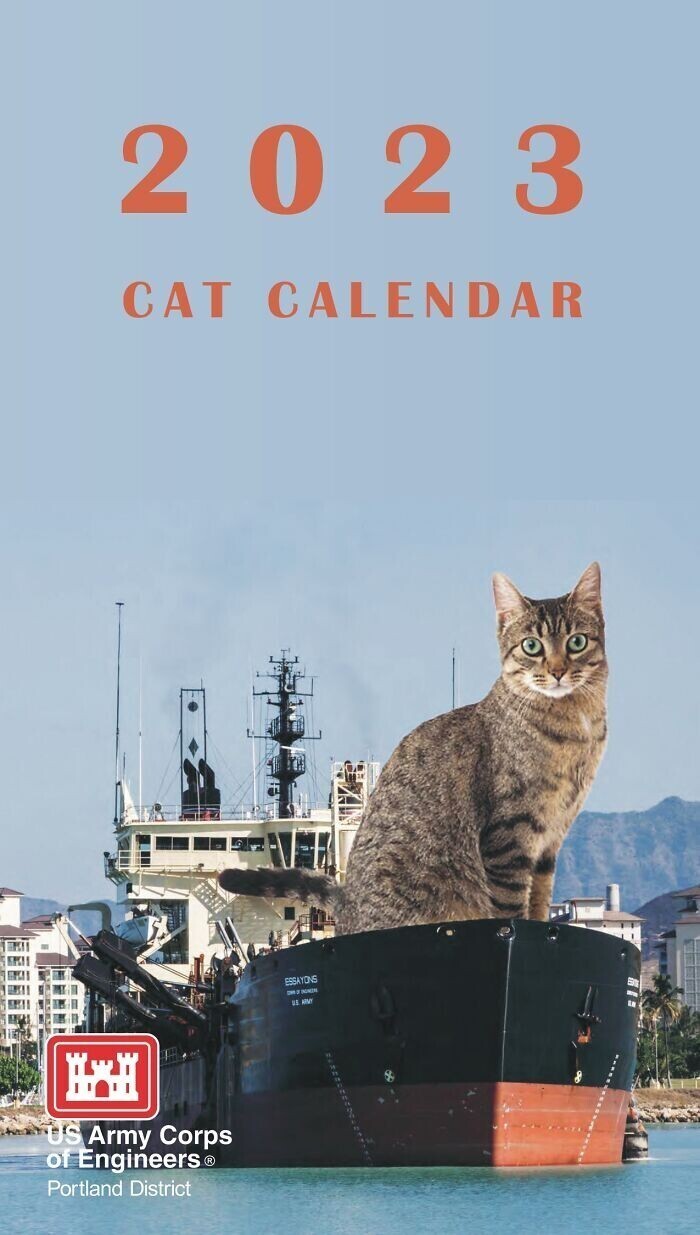 Инженеры выпустили календарь на 2023 с гигантскими кошками
