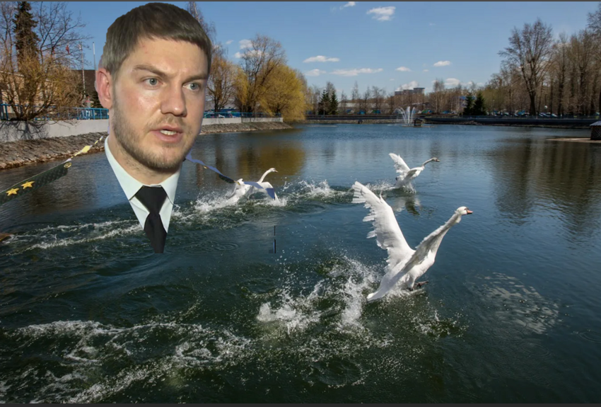 Алексеев Денис Анатольевич : не ловите белых лебедей
