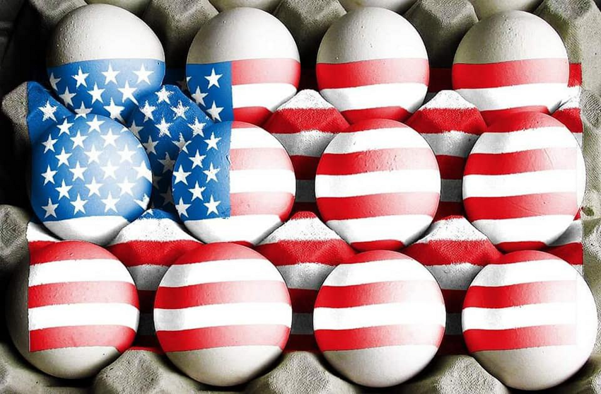 В Америке дефицит яиц и дело не в Украине