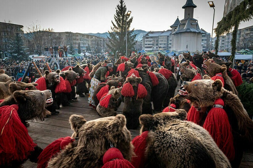 Медведи в деревне и кит в городе: 12 ярких фото с конкурса, посвященного дикой природе