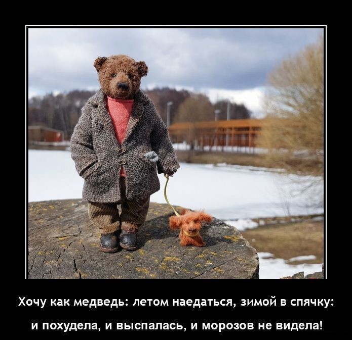 Хочу, как медведь: летом наедаться, а зимой в спячку.