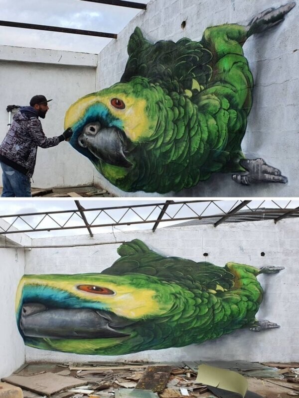 Эффектные граффити от художника из Португалии