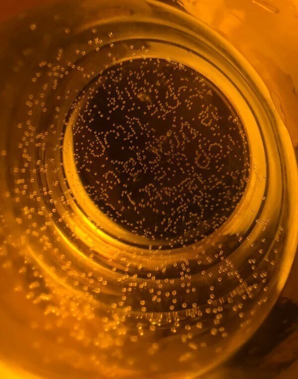 «Пузырьки на дне моего стакана с водой похожи на какой-то шифр»