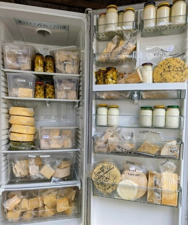 «Домашняя выдержка сыра в одном из моих холодильников, которые я называю «Сырные пещеры»