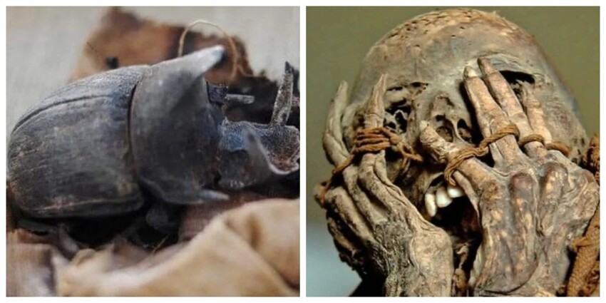 Артефакты древности и необычные предметы, случайно обнаруженные людьми