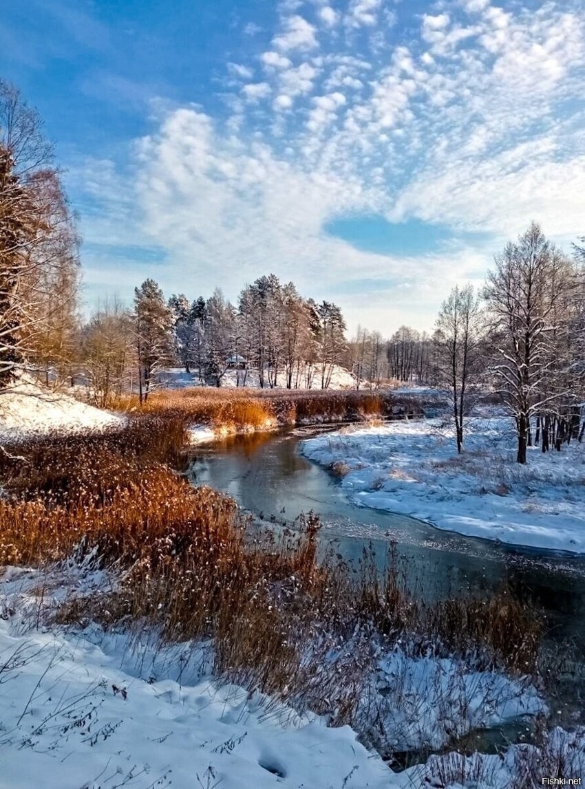 Фотограф Наталья Сергеева