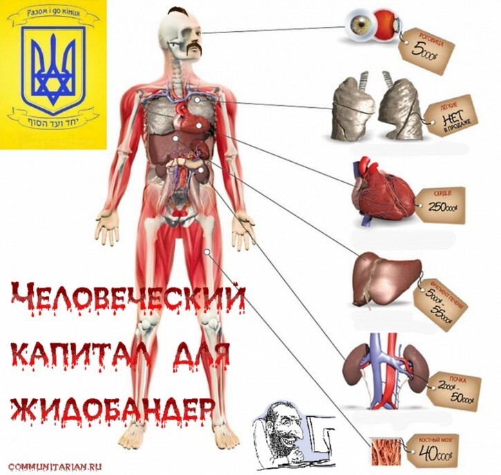 Украинские черные трансплантологи на линии фронта