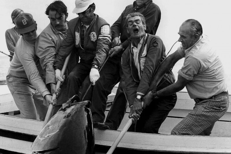 Ловля тунца, 1980-е