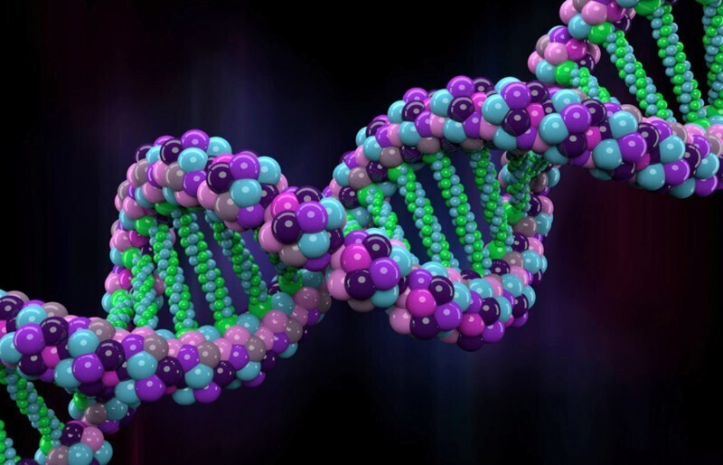 Как расшифровывается ДНК человека