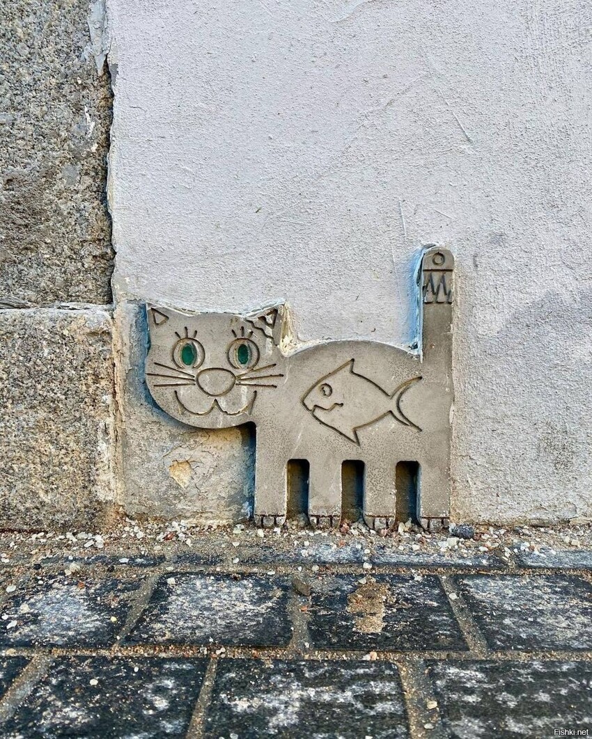Кот на улице Рубенштейна в Питере