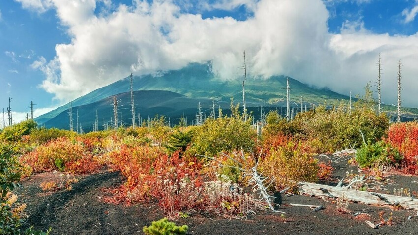 10 самых красивых вулканов России