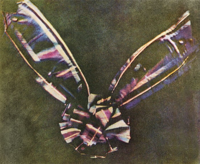 Первое полноцветное фото (1861)