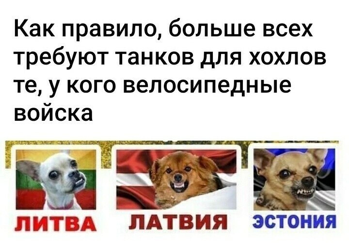 О политике и не только