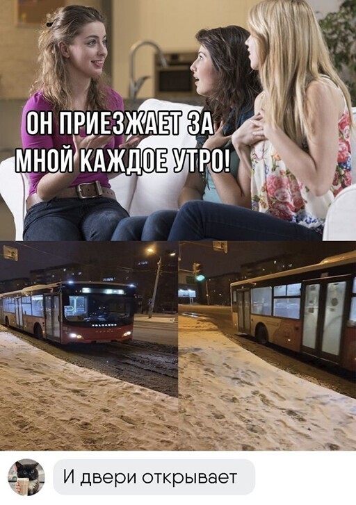 Фотоприколы и прикольные картинки